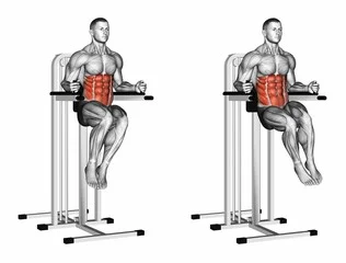 Dip bar ab workout hotsell